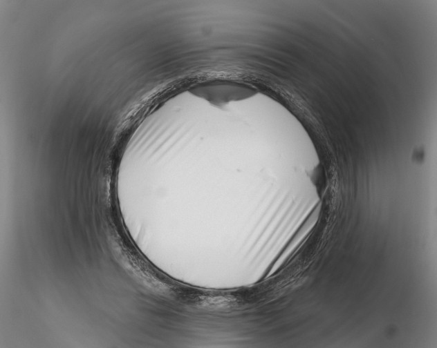 X0000115730446200912101456