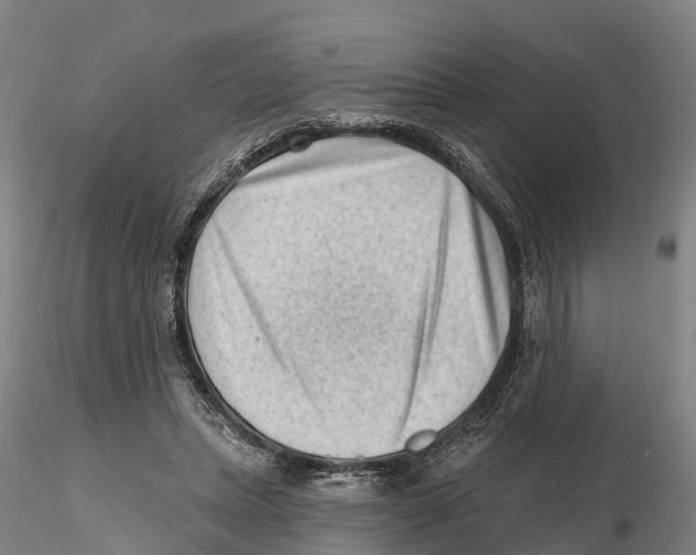 X0000115730447200912101456