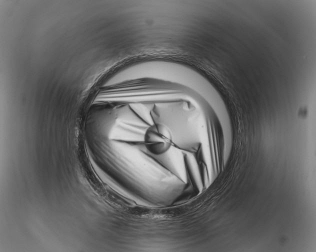 X0000115730448200912101456