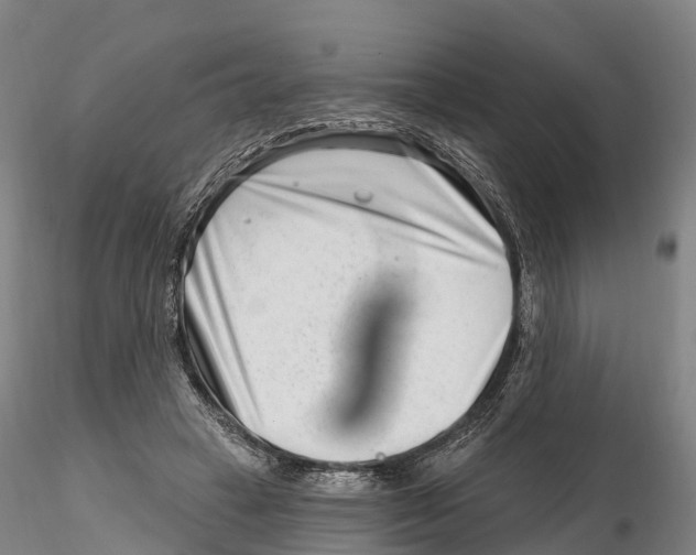 X0000115730449200912101456