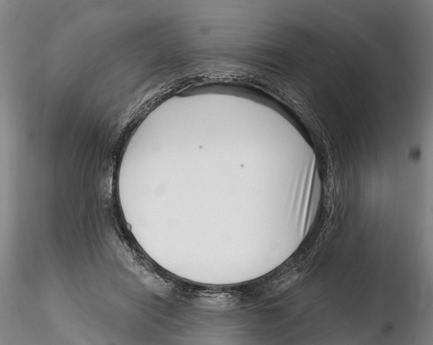 X0000115730454200912101456