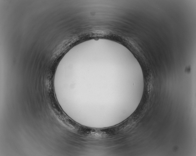 X0000115730455200912101456