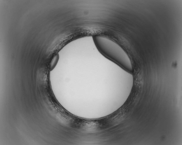 X0000115730456200912101456