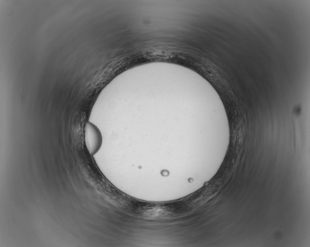 X0000115730460200912101456