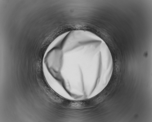 X0000115730461200912101456