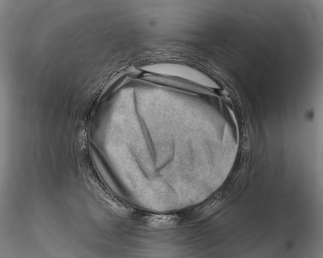 X0000115730465200912101456