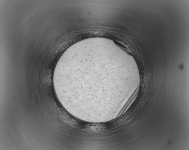 X0000115730466200912101456