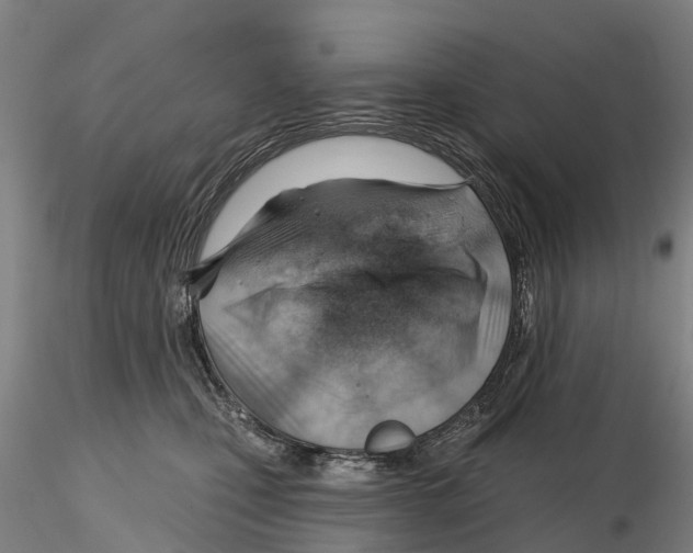 X0000115730471200912101456