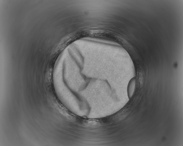 X0000115730475200912101456