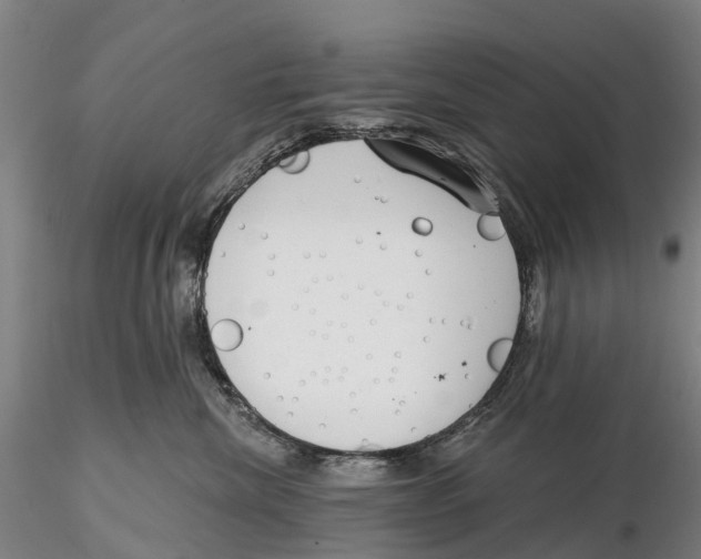 X0000115730476200912101456