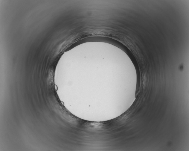 X0000115730478200912101456