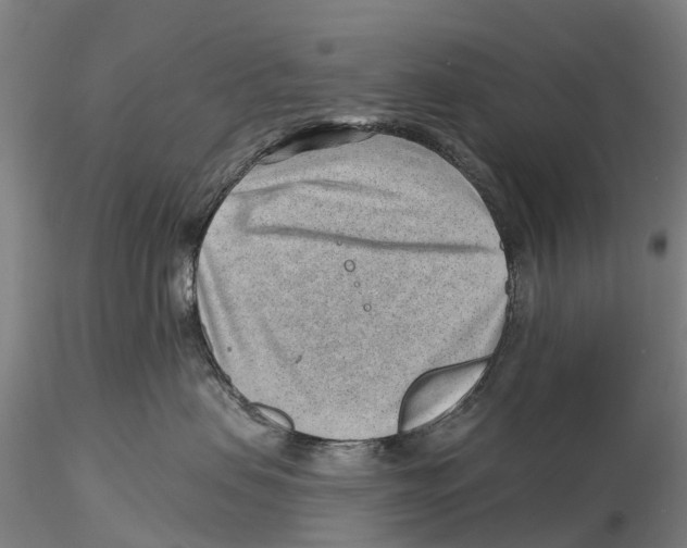 X0000115730479200912101456