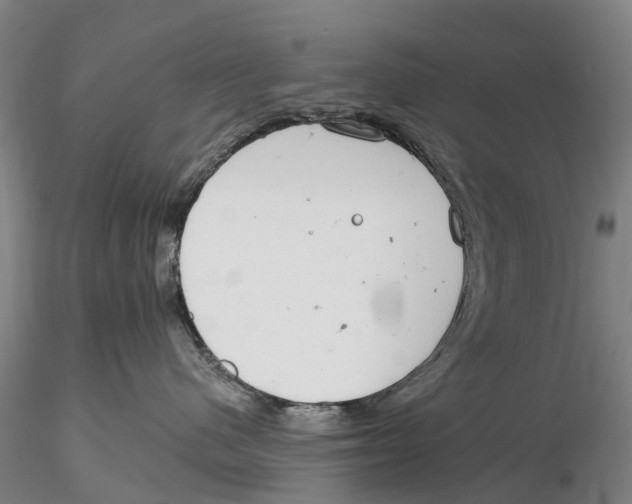 X0000115730480200912101456