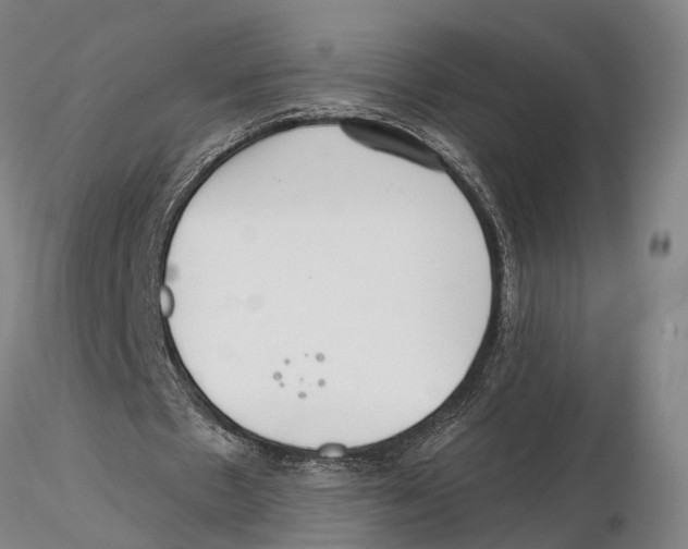 X0000115730481200912101455