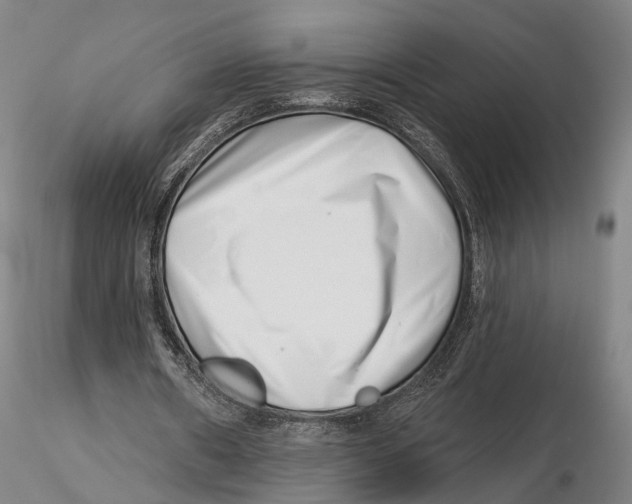 X0000115730482200912101455