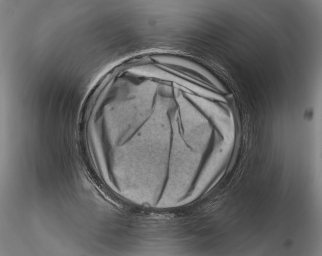 X0000115730484200912101455