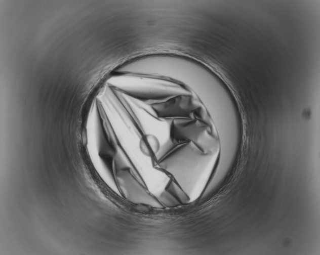 X0000115730485200912101455