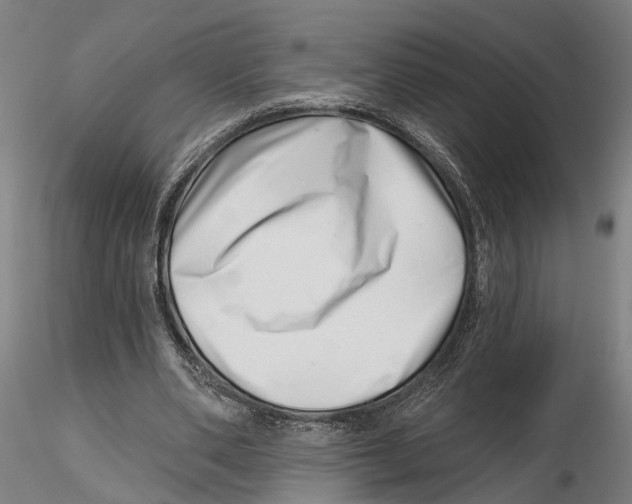 X0000115730486200912101455