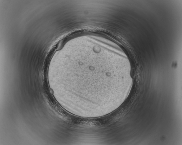 X0000115730488200912101455
