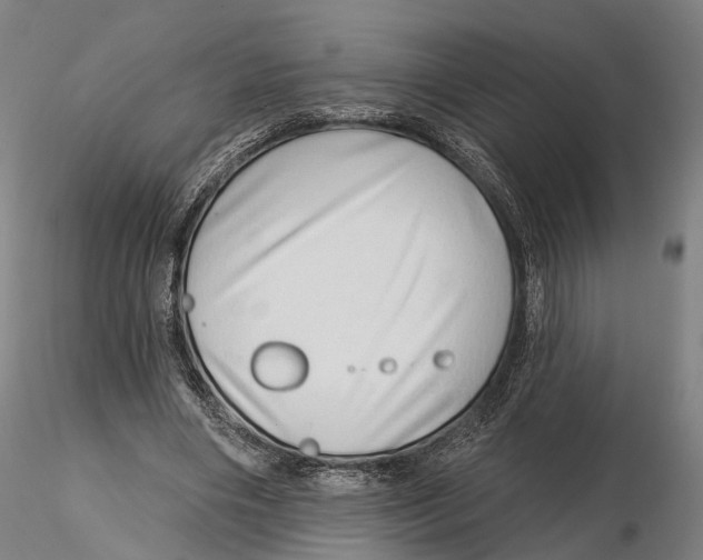 X0000115730490200912101455
