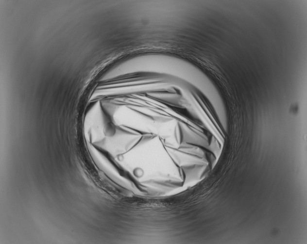 X0000115730492200912101455