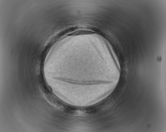 X0000115730496200912101455