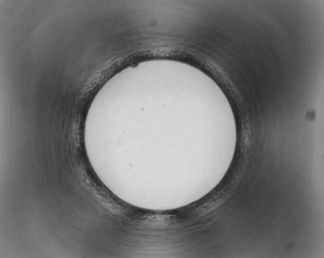 X0000115730497200912101455