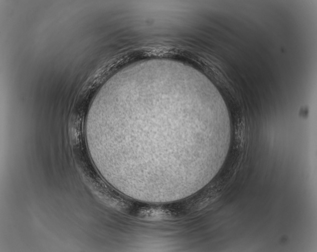 X0000115730503200912101455
