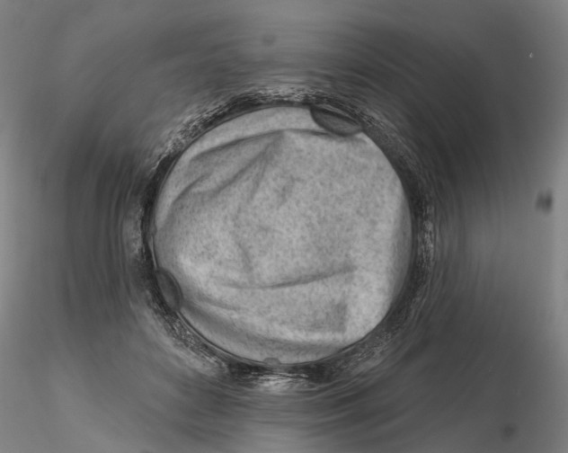 X0000115730504200912101455