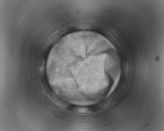 X0000115730507200912101455