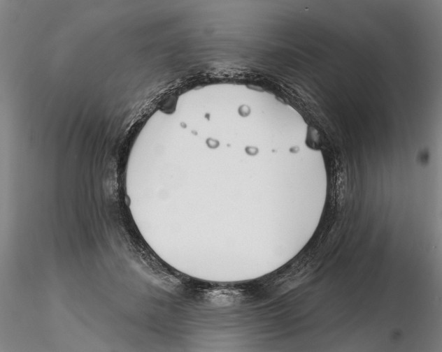 X0000115730508200912101455