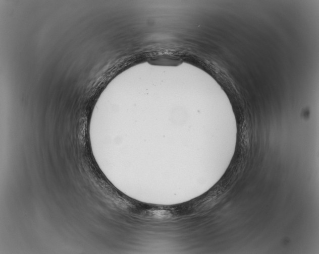X0000115730509200912101455