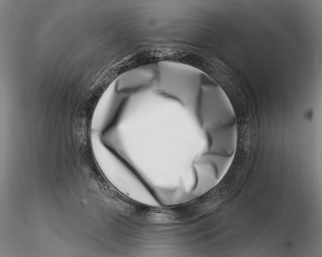 X0000115730510200912101455