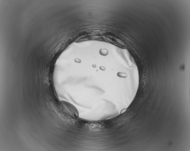 X0000115730512200912101455