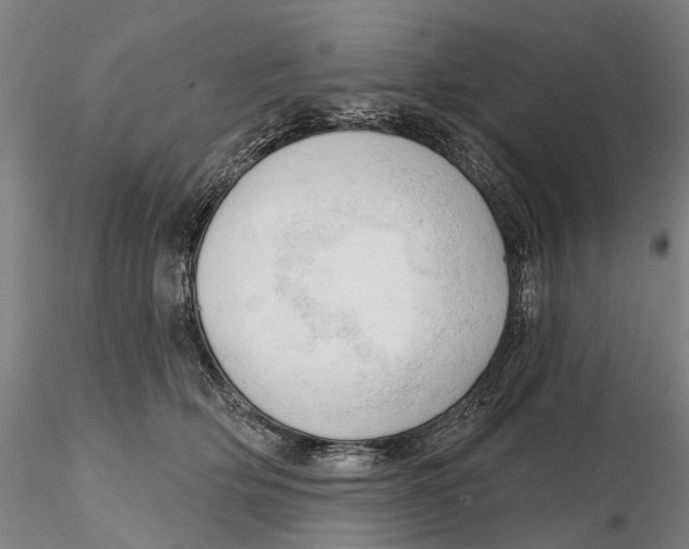 X0000115730514200912101455
