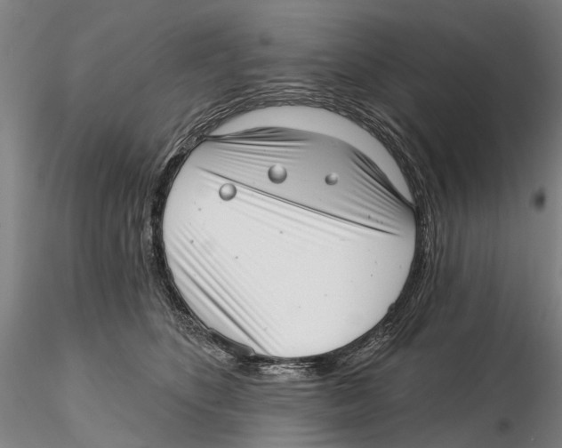 X0000115730516200912101455