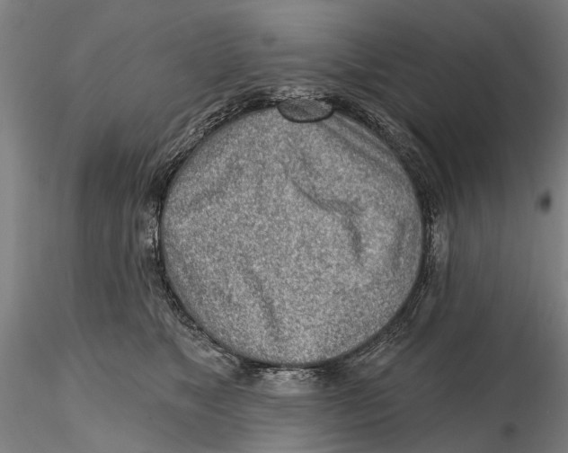 X0000115730517200912101455