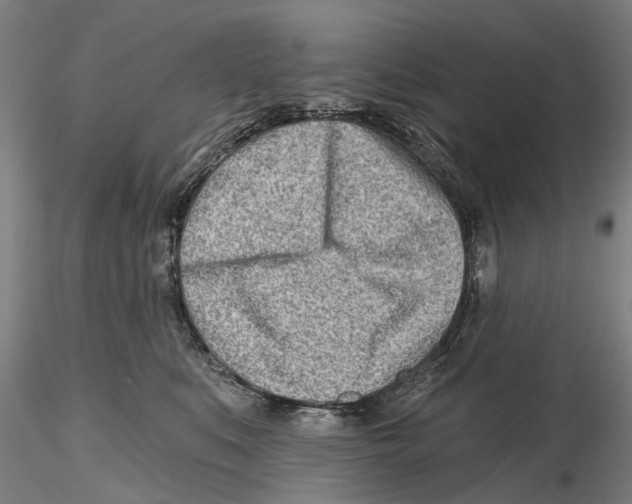 X0000115730519200912101455