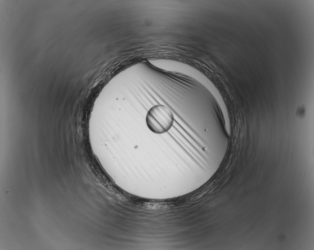 X0000115730520200912101455