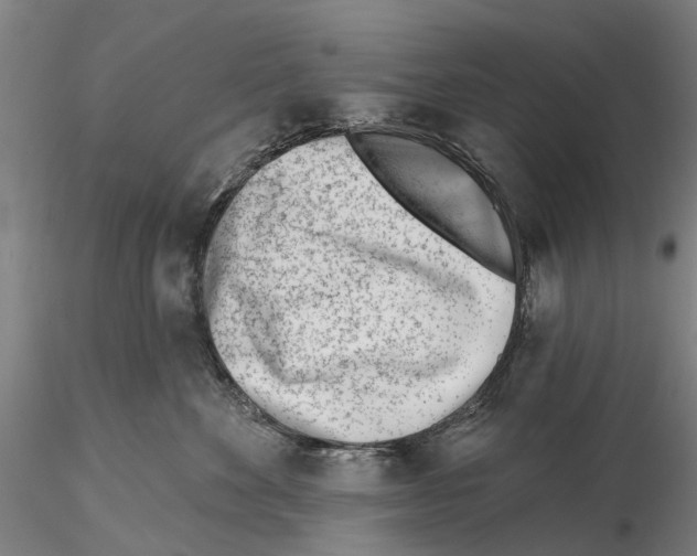 X0000115730524200912101455