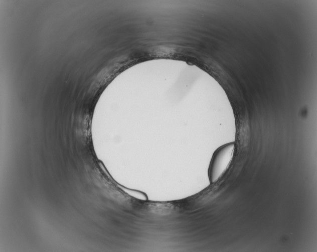 X0000115730525200912101455