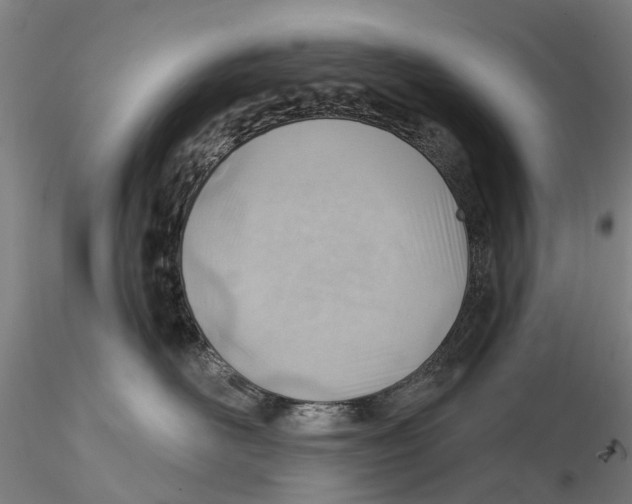 X0000115730526200912101455