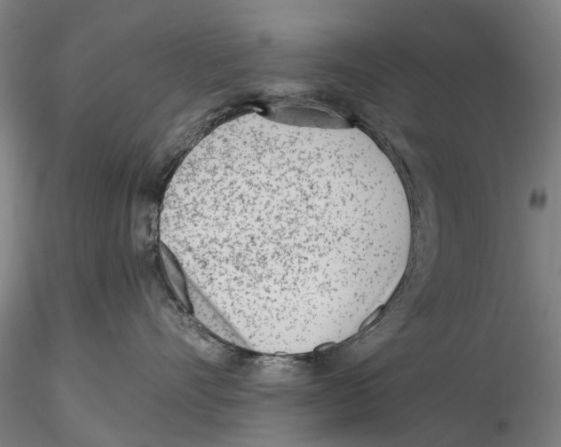 X0000115730528200912101455