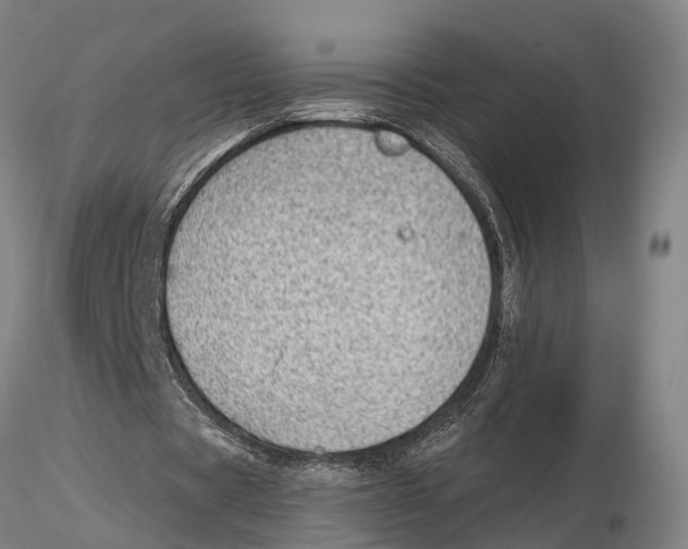 X0000115730529200912101454