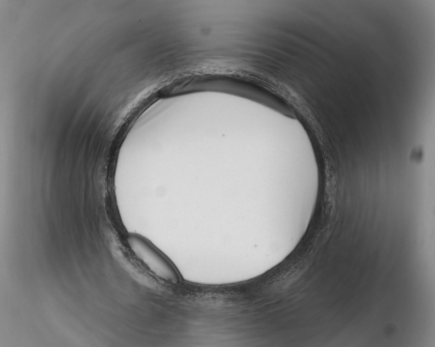 X0000115730530200912101454