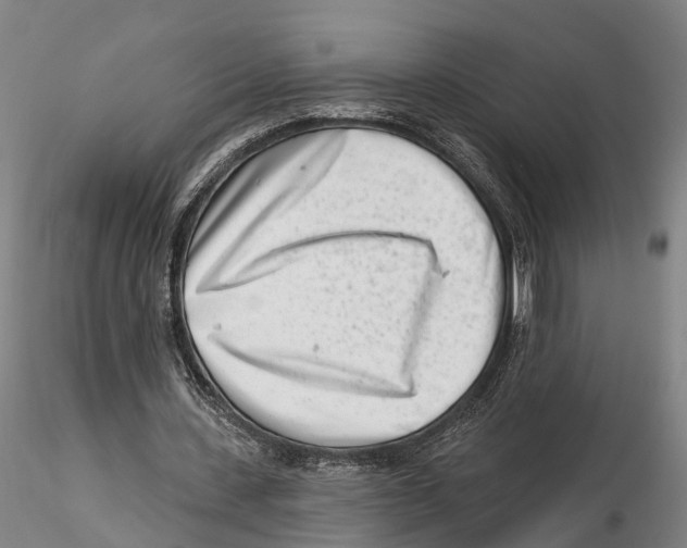 X0000115730531200912101454