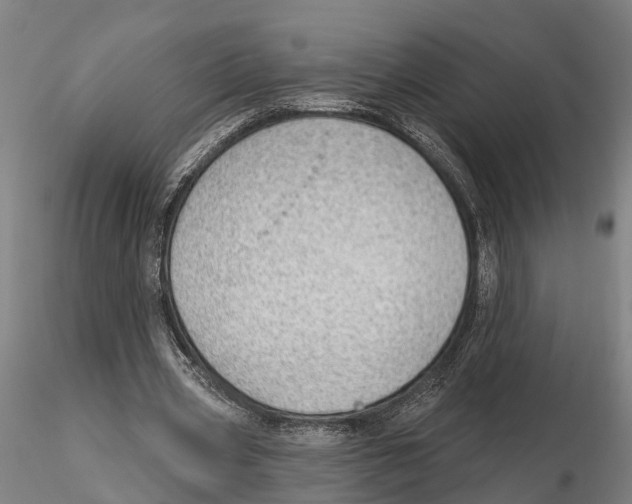 X0000115730533200912101454