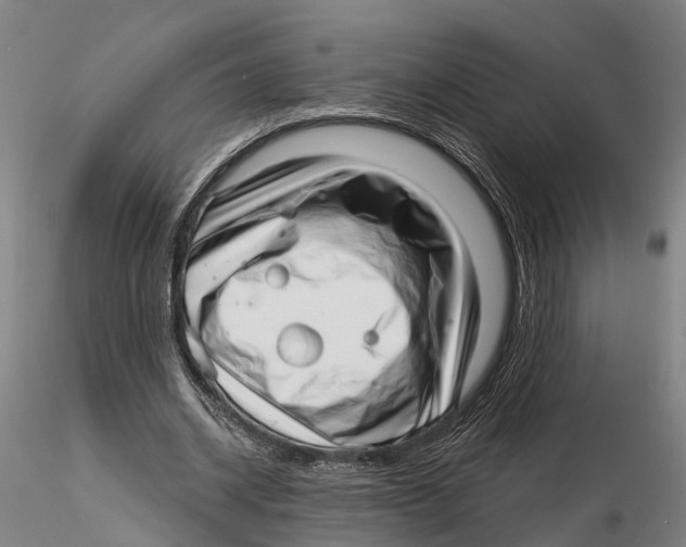 X0000115730534200912101454