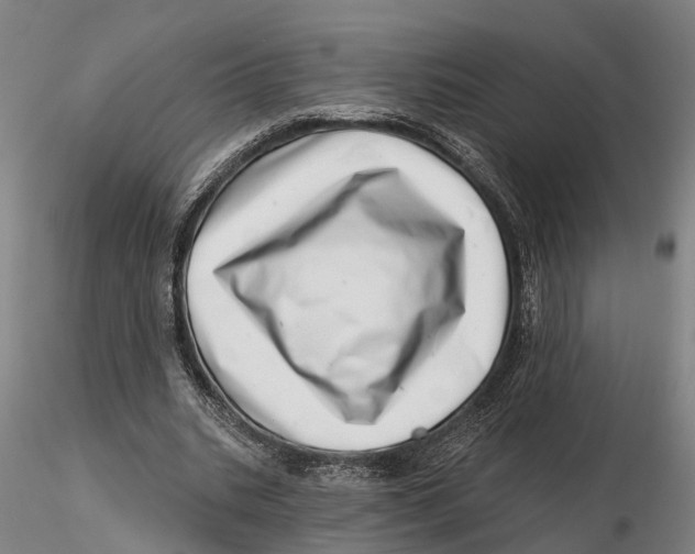 X0000115730535200912101454