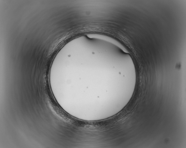 X0000115730538200912101454